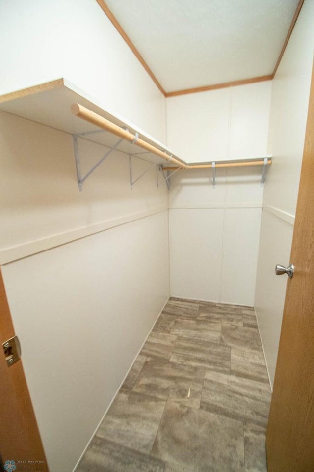 spacious closet featuring light hardwood / wood-style floors