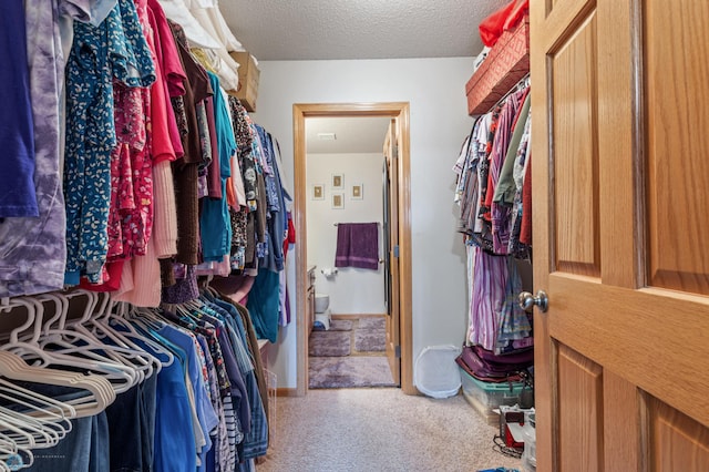 spacious closet with carpet