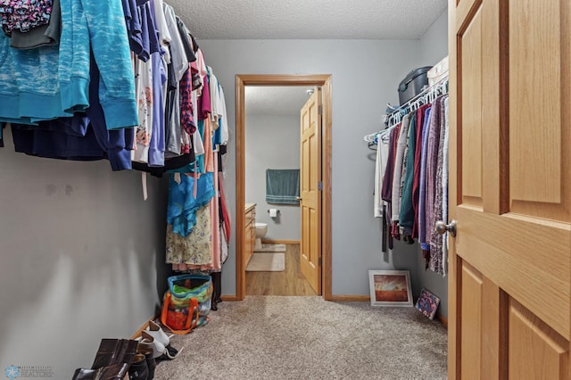 walk in closet featuring hardwood / wood-style flooring