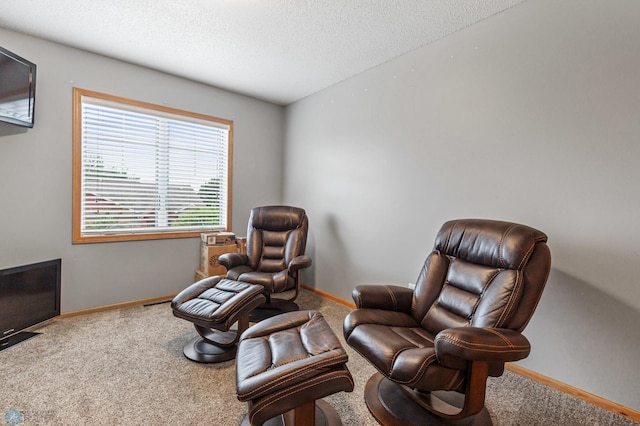 sitting room featuring carpet flooring and a textured ceiling