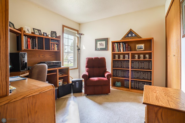 office featuring light colored carpet and a textured ceiling