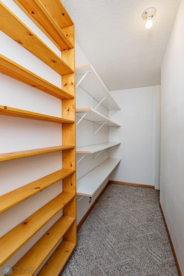 walk in closet with carpet flooring