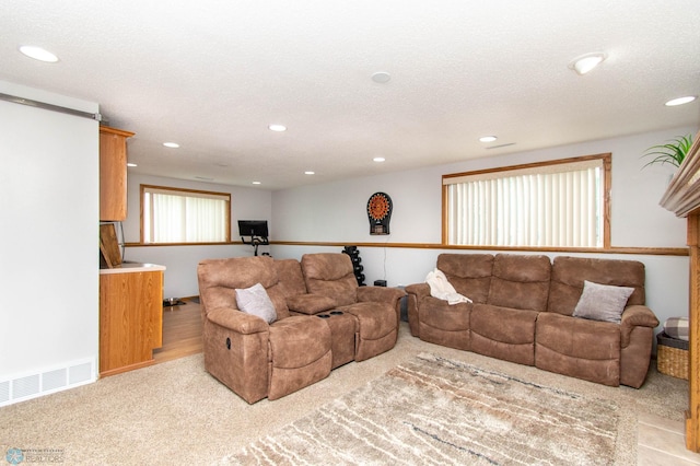 living room featuring a textured ceiling and light hardwood / wood-style flooring