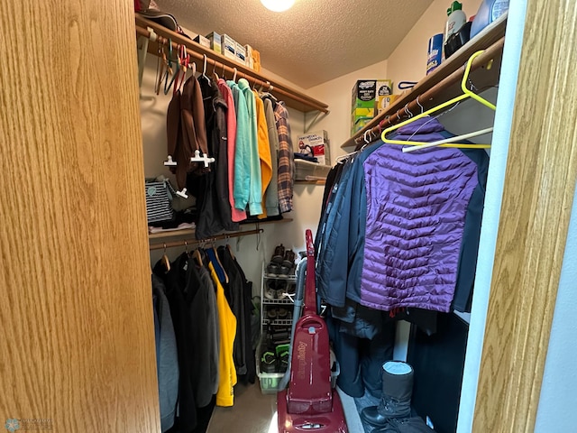 view of walk in closet