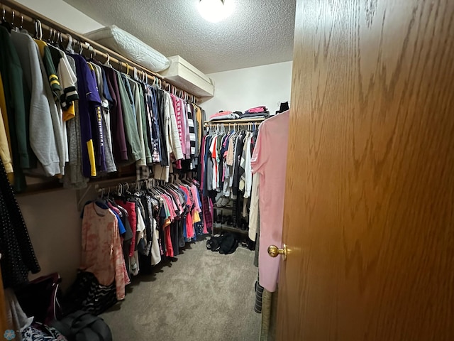 spacious closet featuring carpet floors