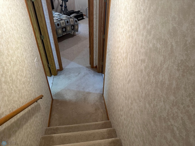 staircase featuring carpet flooring