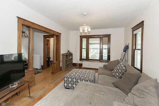 living room featuring light hardwood / wood-style floors, a healthy amount of sunlight, and radiator