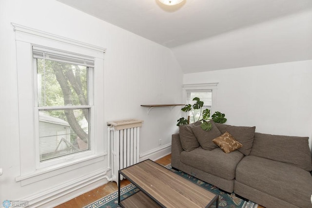 living room featuring vaulted ceiling and wood-type flooring