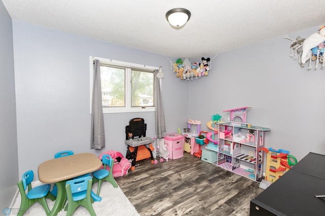 playroom featuring hardwood / wood-style floors