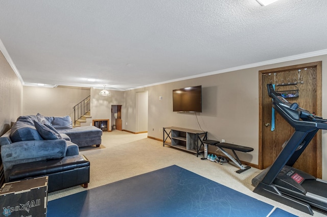 exercise room featuring a textured ceiling, carpet flooring, and ornamental molding