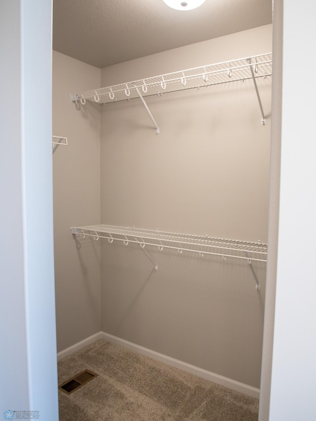 spacious closet featuring carpet