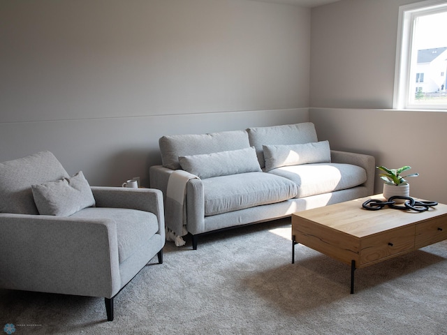 living room with carpet floors