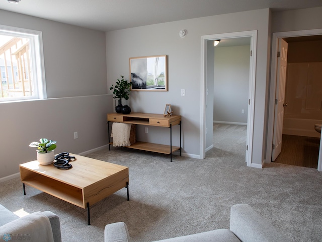 living room with light colored carpet and a healthy amount of sunlight