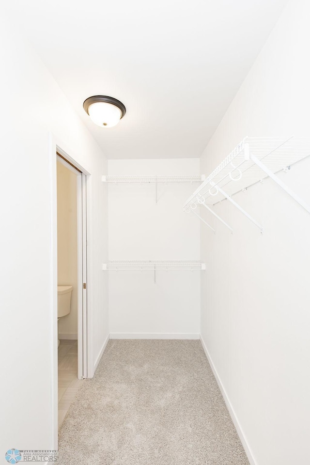 spacious closet featuring light carpet