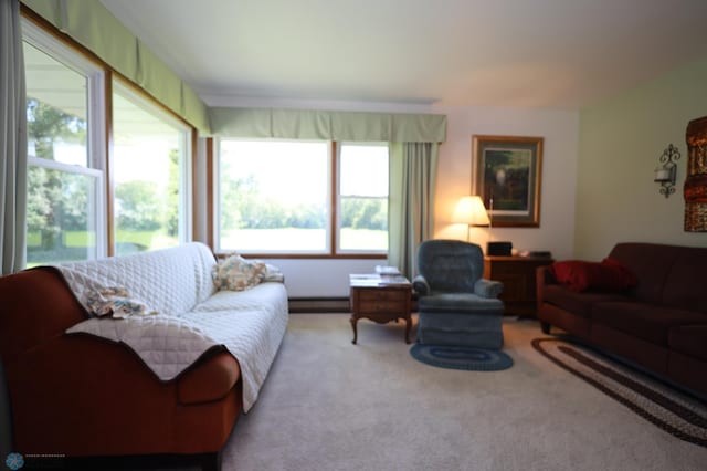 view of carpeted living room