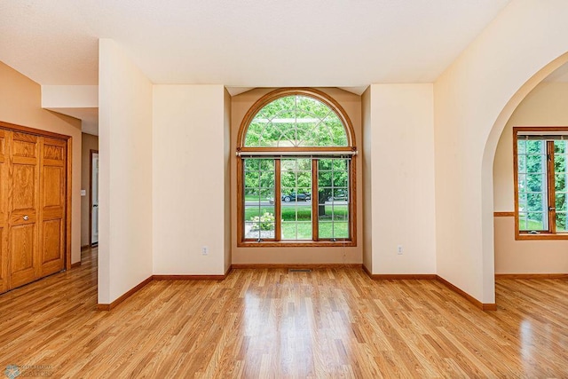 empty room featuring a healthy amount of sunlight and light wood-type flooring