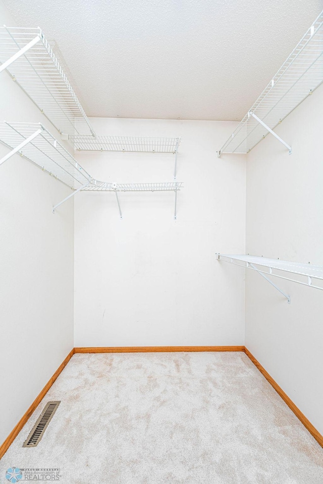 spacious closet with carpet flooring