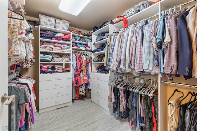 spacious closet featuring light colored carpet