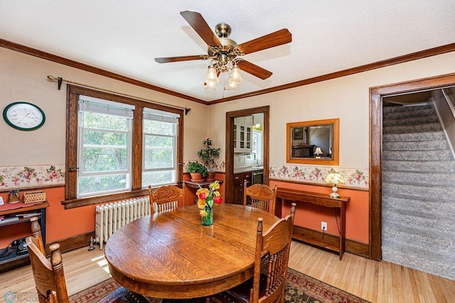 dining space featuring crown molding, ceiling fan, radiator, and light wood-type flooring