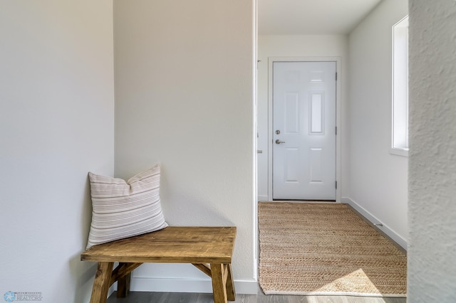 mudroom with wood-type flooring