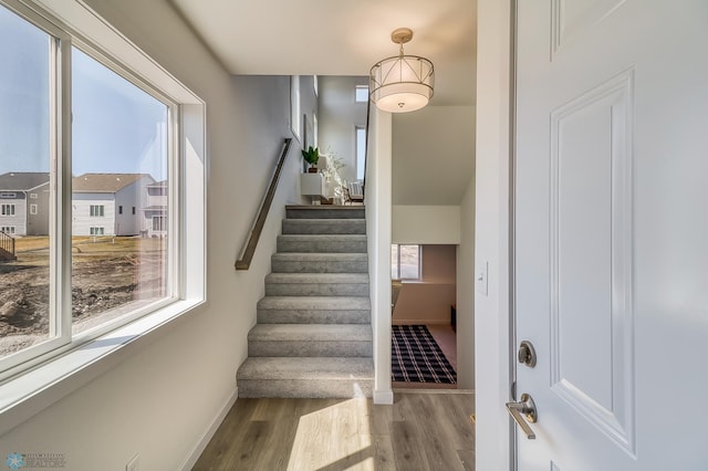 staircase with hardwood / wood-style flooring