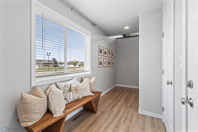 living area with light wood-type flooring