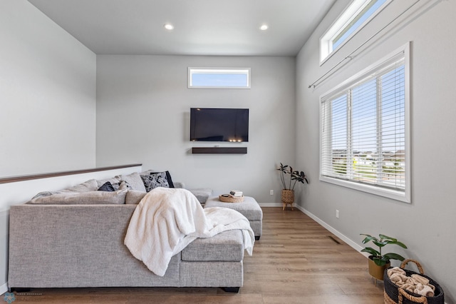 living room with wood-type flooring and plenty of natural light