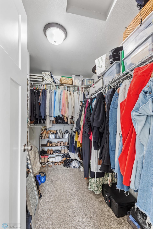 spacious closet featuring carpet flooring