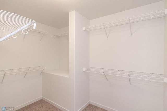 spacious closet with carpet flooring