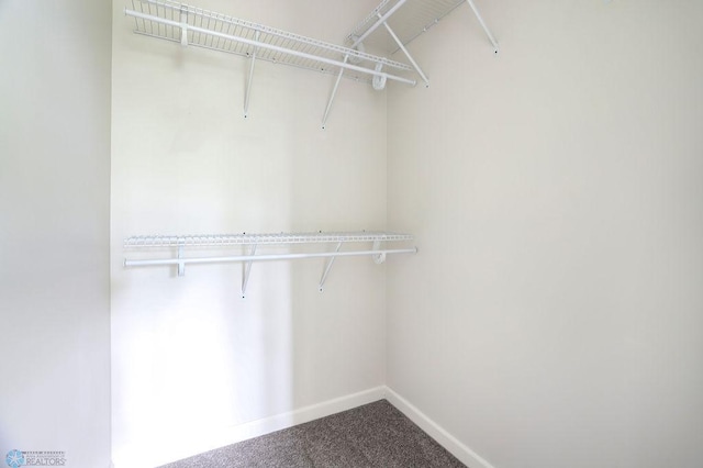 walk in closet featuring carpet