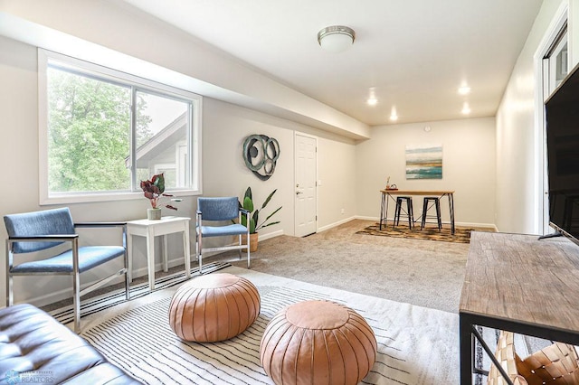 view of carpeted living room