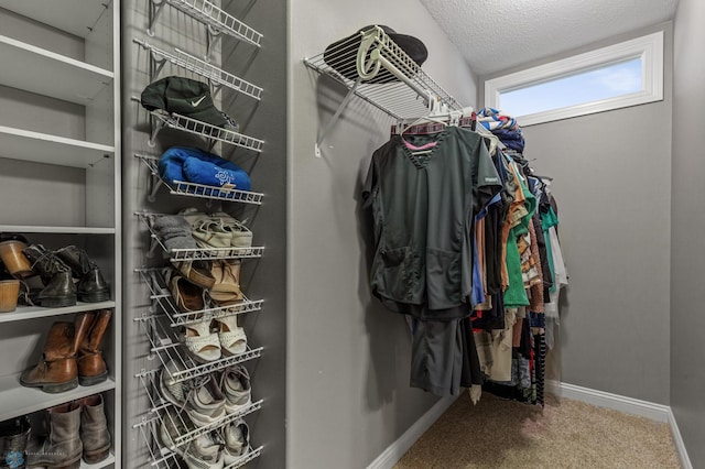 walk in closet featuring carpet