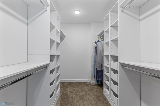 walk in closet featuring dark colored carpet