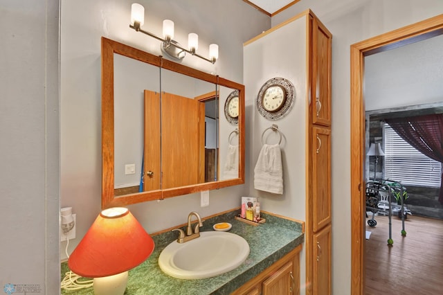 bathroom with wood-type flooring and vanity