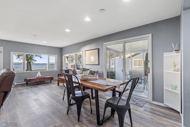 dining area featuring a wealth of natural light and hardwood / wood-style floors