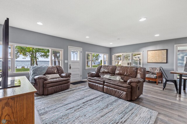 living room with a water view and wood-type flooring