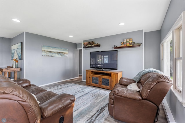 living room with wood-type flooring