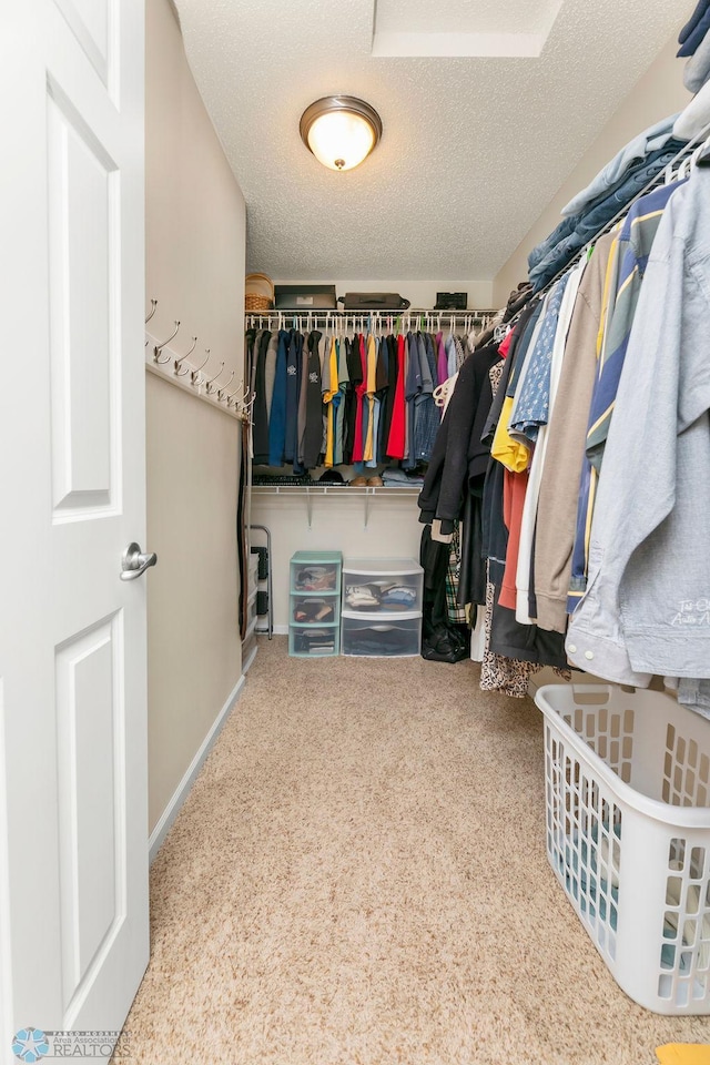 walk in closet with carpet