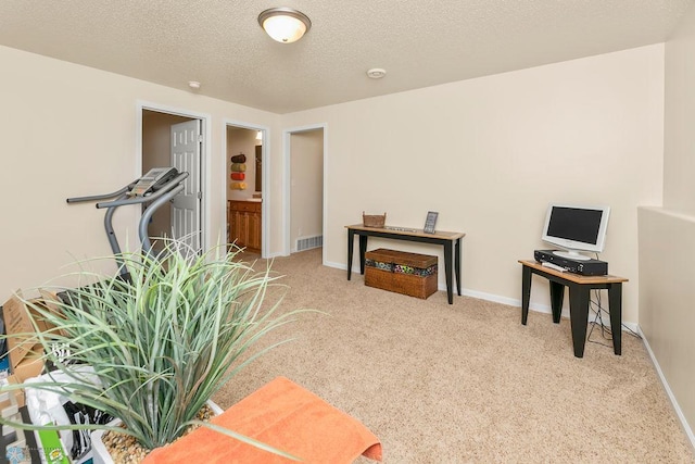 interior space with light carpet and a textured ceiling