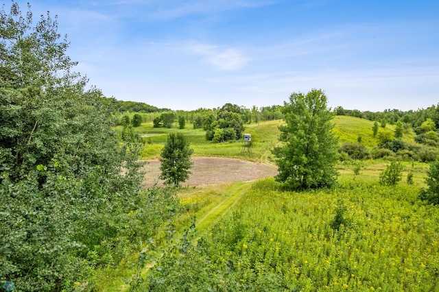 view of local wilderness with a rural view