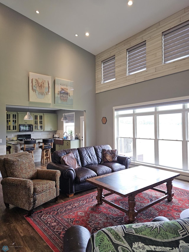 living room with a towering ceiling, hardwood / wood-style flooring, and sink