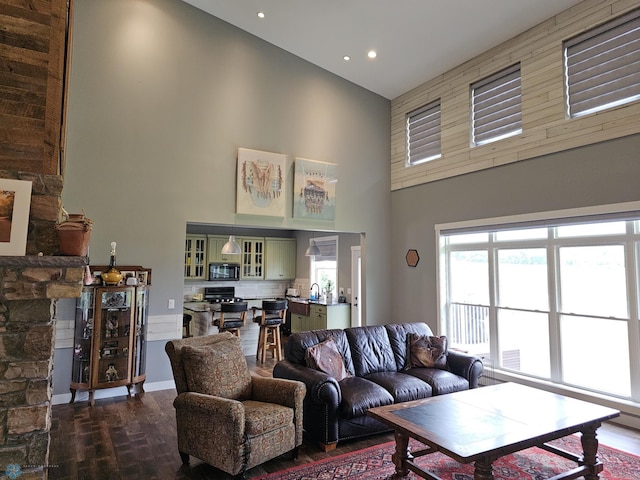 living room with wood-type flooring and a high ceiling