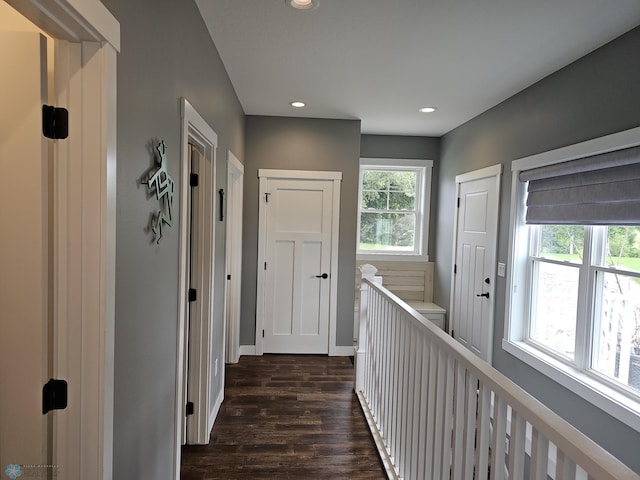 hallway featuring dark hardwood / wood-style flooring