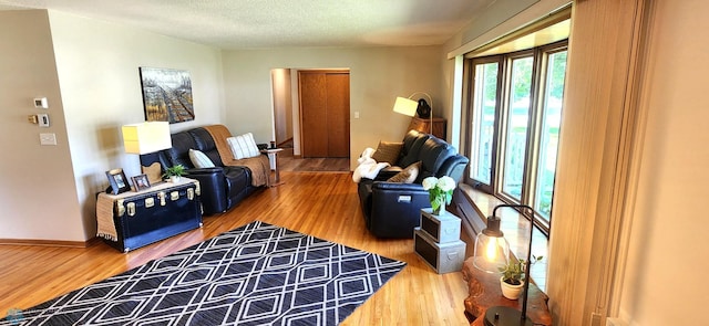 living room featuring wood-type flooring and a textured ceiling