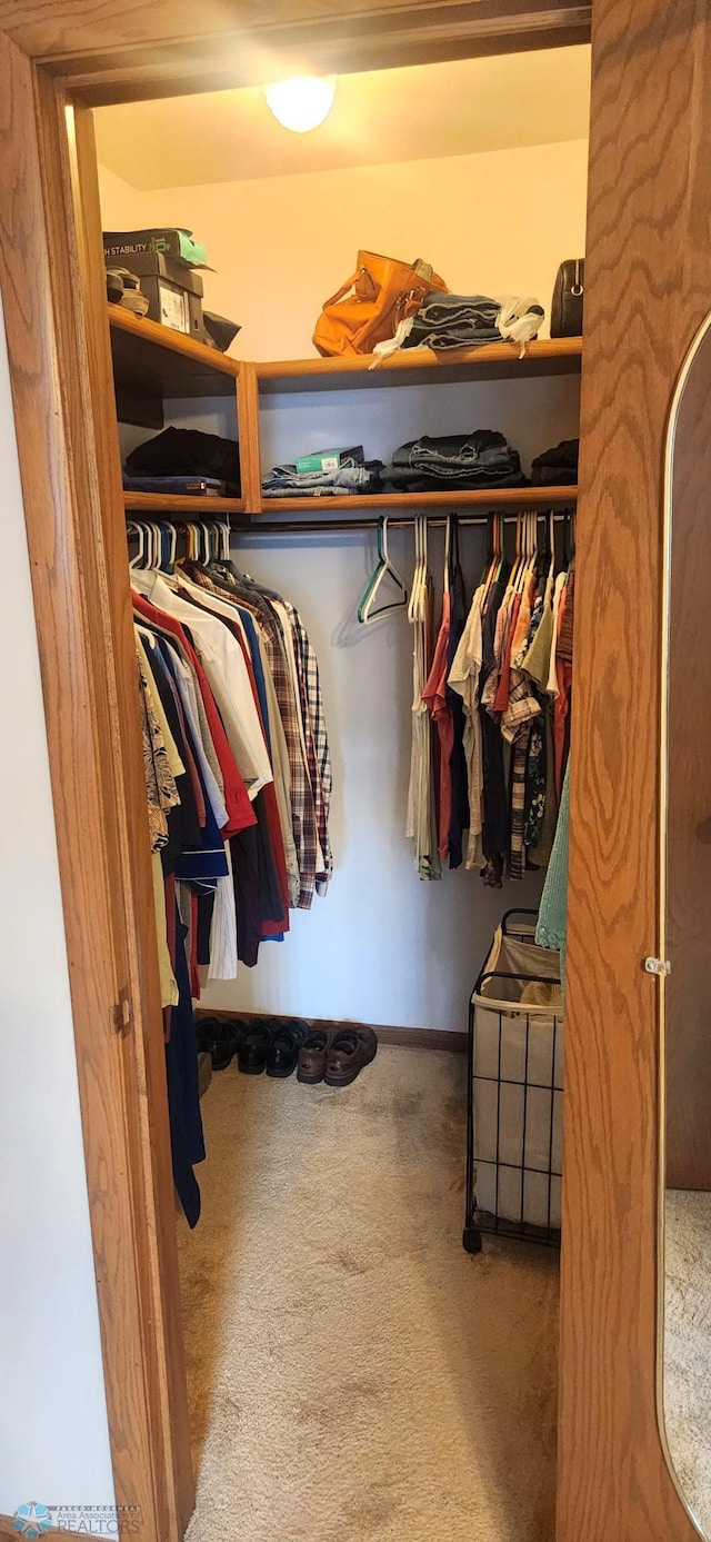 spacious closet featuring carpet