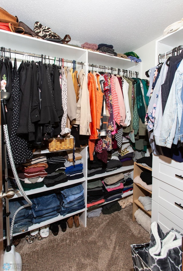 spacious closet with carpet floors