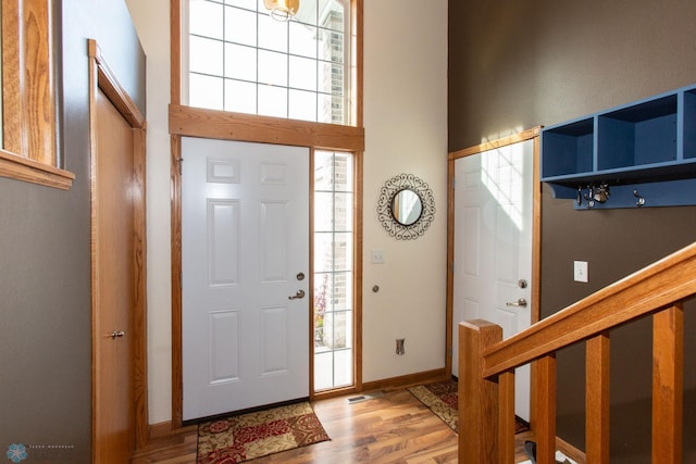 entrance foyer featuring wood-type flooring, a towering ceiling, and plenty of natural light