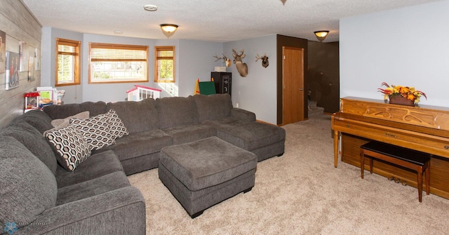 carpeted living room with a textured ceiling