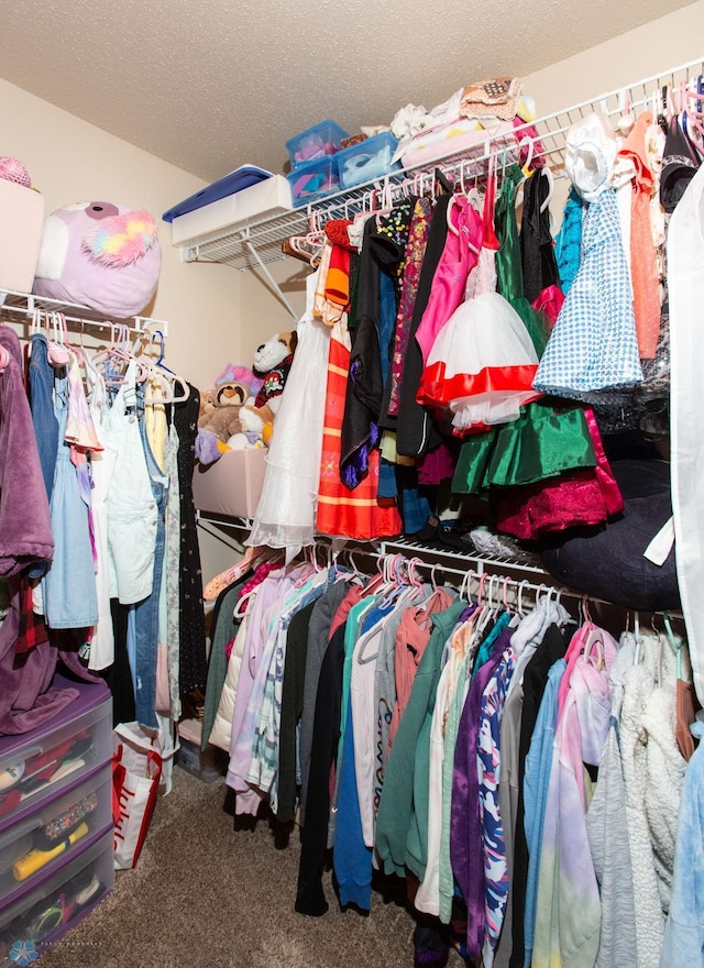 spacious closet featuring carpet floors