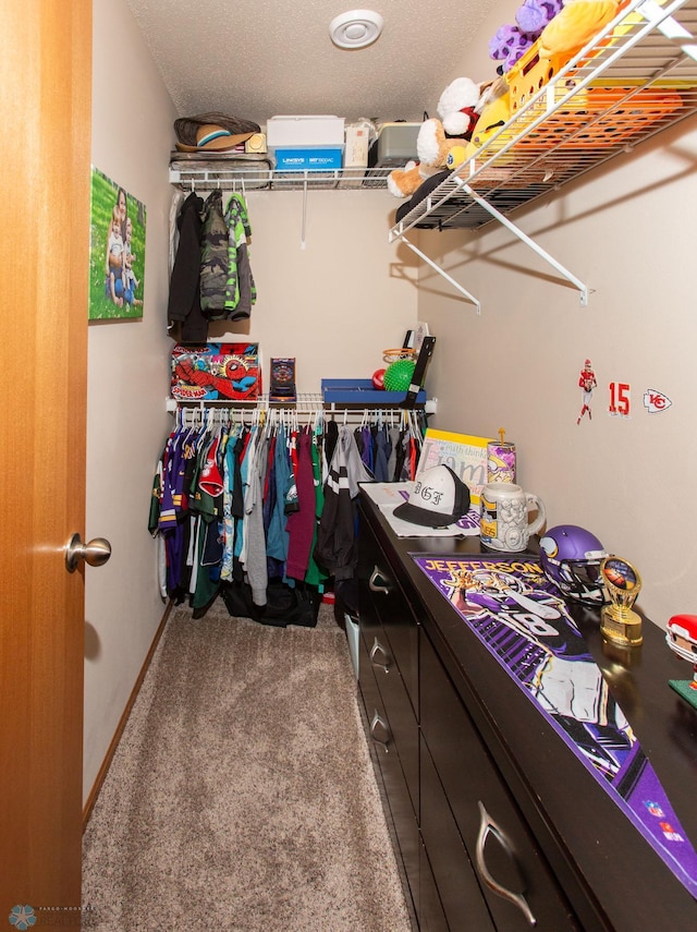 spacious closet featuring carpet flooring